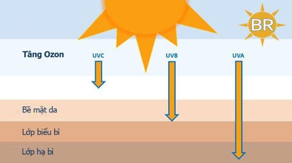 Kem chống nắng sinh học tia UV